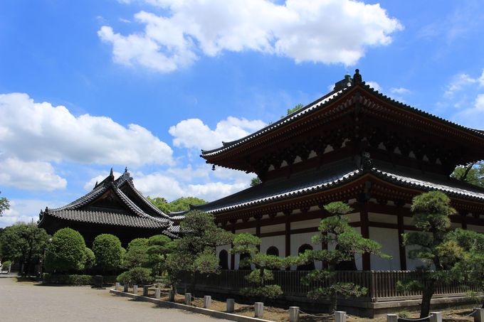 yۂƖxɈ͂܂ꂽfijՑՁj͓{SI