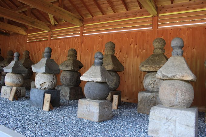 Qڋ`njՊ莛ՂƋ{ڐ݂ꂽ