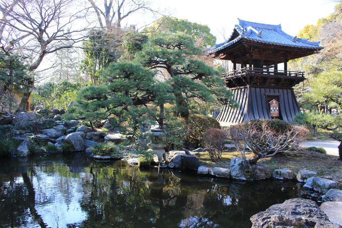 yۂƖxɈ͂܂ꂽfijՑՁj͓{SI