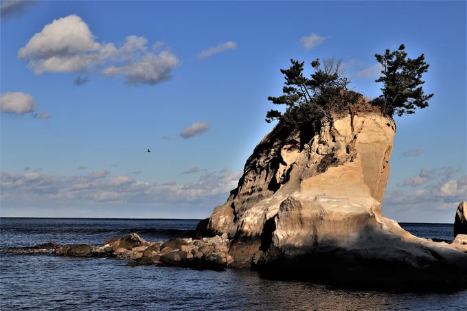 �C�H�R�Ɉ͂܂ꂽ���ˏ��l�C�݂ƍL��ȍ��l���L���鍂�ˑO�l�C��