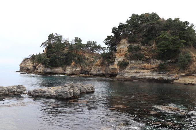 �����m�̍r�g���n�����f�R�ƌ܂̓���]�I�܉Y�C��