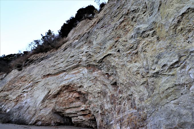 �܉Y�̊C�H�R�ɐG����鍻�l�I�������̊C�ݐ��������钷�l�C��