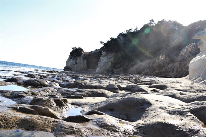 �f�R�̊C�ݐ��ɉ��������т̗V�����I���t�̓��E�������l