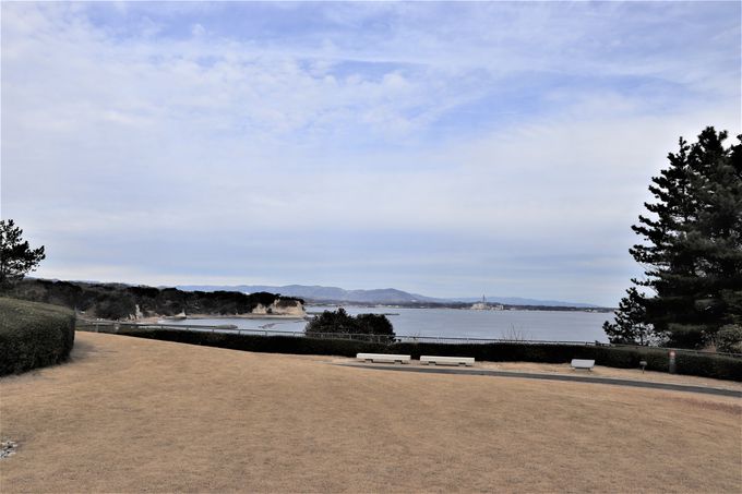 �����m�̍r�g���n�����f�R�ƌ܂̓���]�I�܉Y�C��