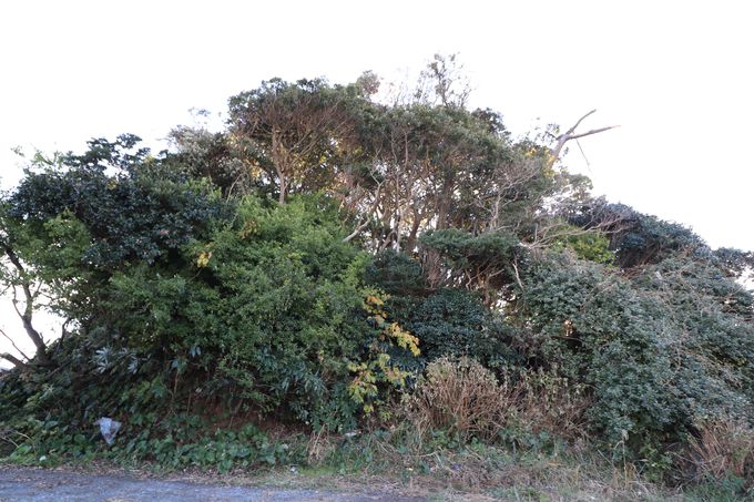 ��錧�łQ�ԖڂɒႢ�R�I�����������̓V�܎R�Ɠ�c��