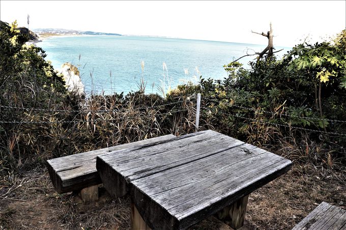 �f�R�̊C�ݐ��ɉ��������т̗V�����I���t�̓��E�������l