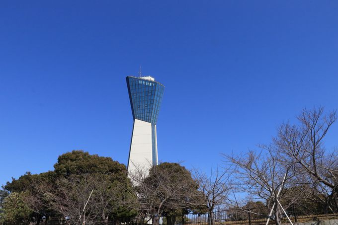 パノラマのタワーとスリルの潮見台 いわき市三崎公園 福島県 Lineトラベルjp 旅行ガイド