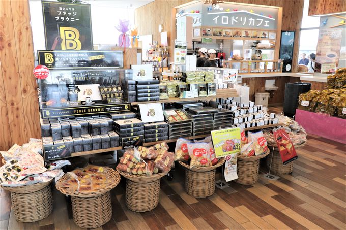 b◬śu{vƁA{̗Dꕨ́u{SݓXv