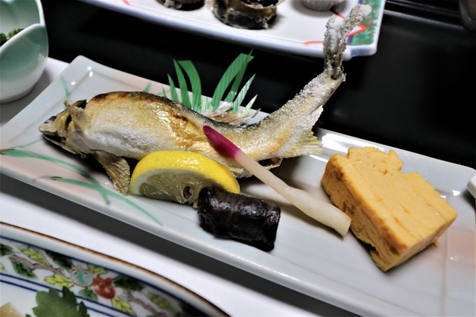 �H���͈��̉��Ă��Ɨ�z��Ő����グ���Ζؕ�