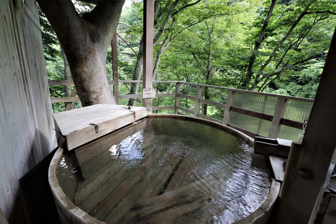 客室から眺める風景と、木の上にある貸切上露天風呂