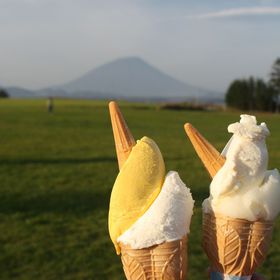 rR閼Xu[NqEt@[vŒnfރWF[g̋LTlC