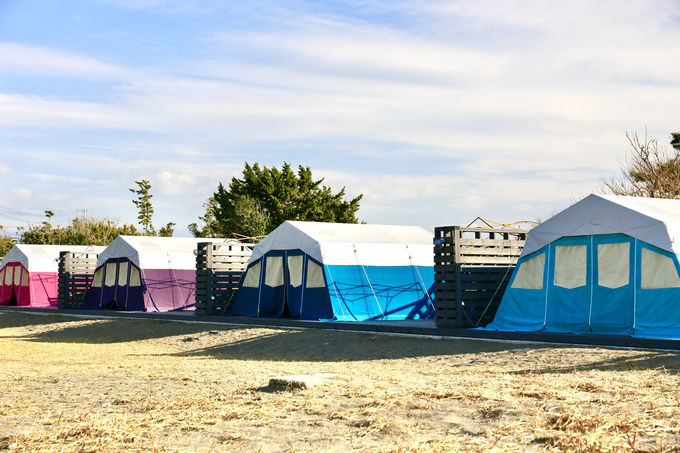 カラフルなテントで気軽にキャンプ体験も