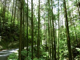 ���ɂ̓c�ɑ̌��I�a�̎R���ߒq���Y���F��G���A�̐�����͂̋L���T���l�C��