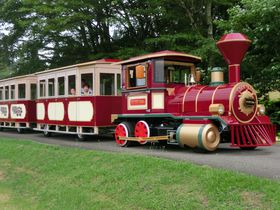 ���P�R�[�͉Ԕ��ƃ����w���������ς��I���R�g���C���E�o�X���o��̋L���T���l�C��