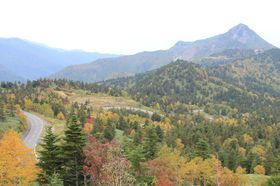 W2000̃hCuIɈԋ߂uꑐÍ[g̋LTlC