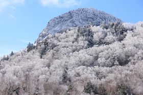 X̉ԍ炭̎uꍂւ̋LTlC