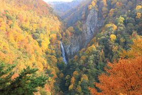 gthCuɂ͒쌧uꍂ߁Iōn_͕xmRI̋LTlC