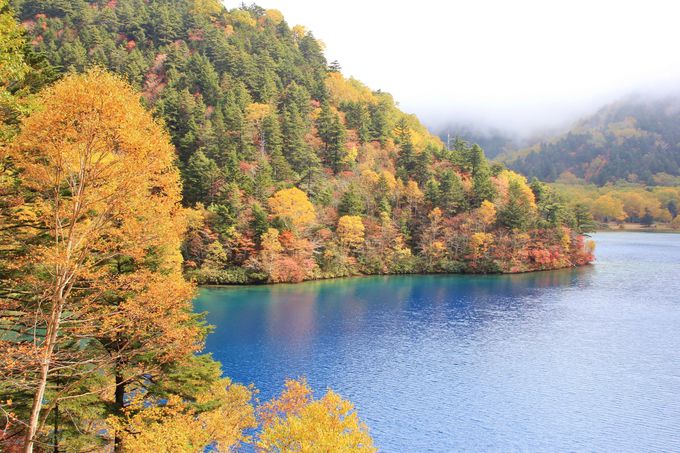 鮮やかなコバルトブルーの水面と紅葉のコントラストの絶景