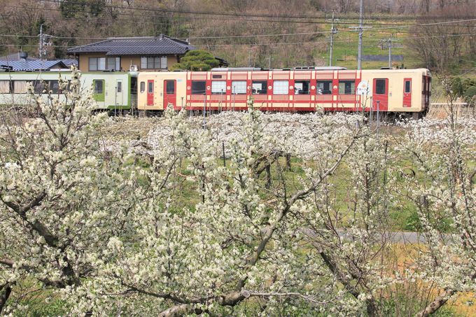 ʎƎԗBeȂOˁ`LԂ߁I