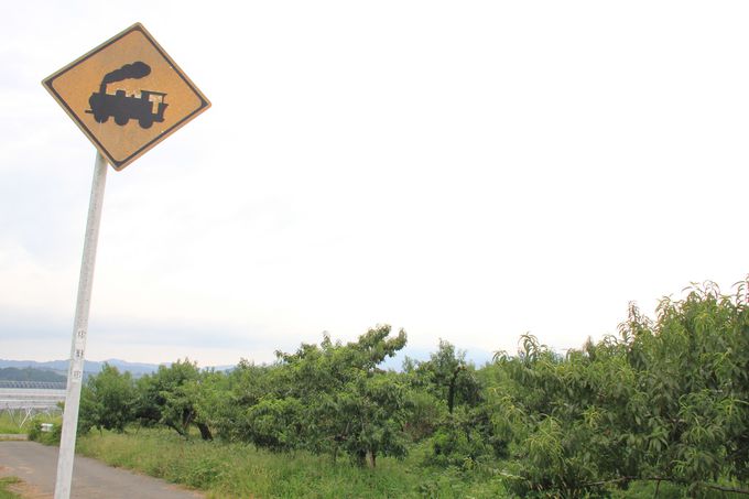 ���[���╪���Ԃ��c��p���Ձi�M�B����w�`�Ԋ�w�j