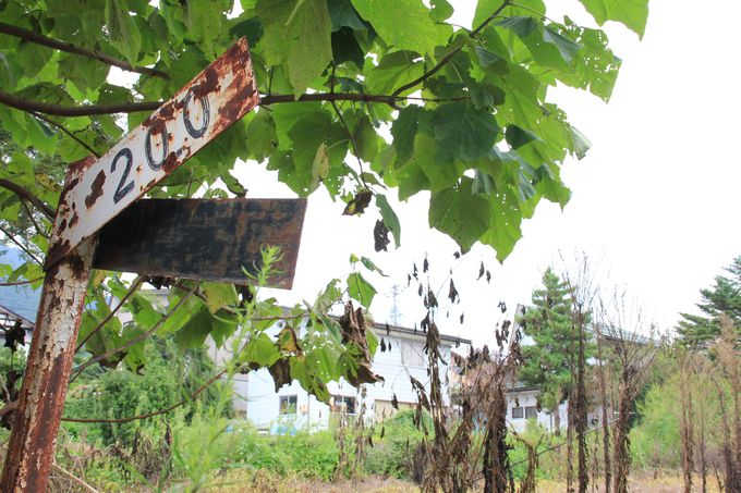 �e���Ɏc������M�d�ȓS���W���i�Ԋ�w�`�c��w�j