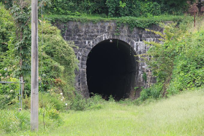 �g���l����c������M�d�ȉː������i�c��w�`�ؓ��w�j