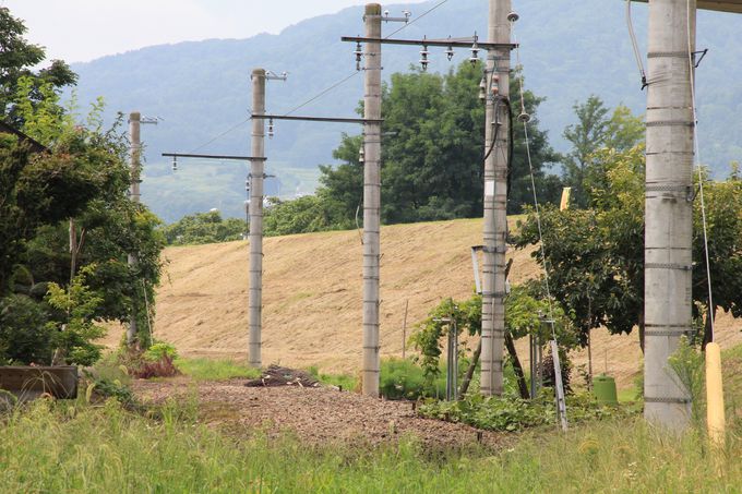 �g���l����c������M�d�ȉː������i�c��w�`�ؓ��w�j