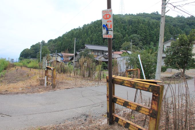 �e���Ɏc������M�d�ȓS���W���i�Ԋ�w�`�c��w�j