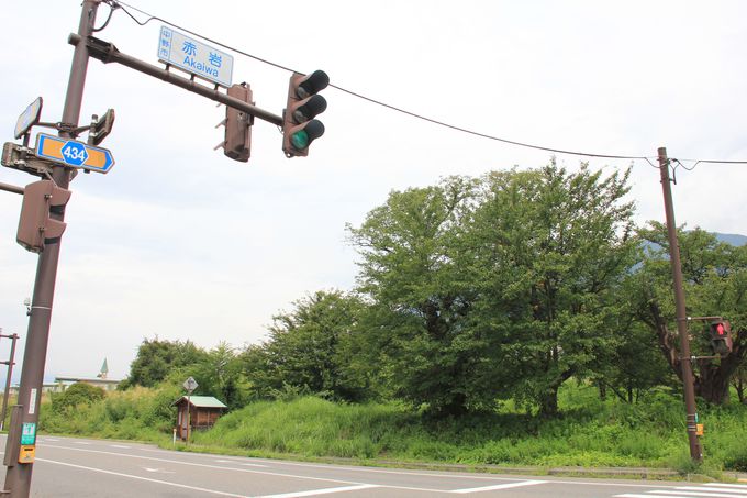 �����ő�̌��ǂ����Ԑ���S���i�l�����w�`�Ԋ�w�j