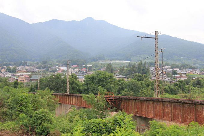 �����ő�̌��ǂ����Ԑ���S���i�l�����w�`�Ԋ�w�j