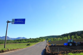 ihCu[gI܂pm}CŗYȕiɏo̋LTlC