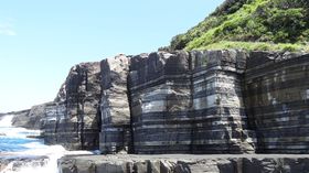 ���{�C�ɕ����ԃX�g���C�v�̒f�R�H���u�{���z�����t�F���X�v�̋L���T���l�C��