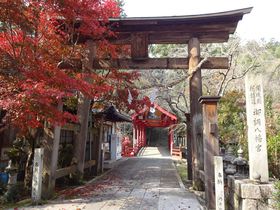 秀吉も立ち寄った広島県三原・御調八幡宮〜紅葉と桜の古刹へ