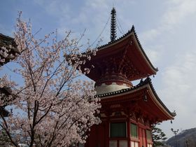 文化財の宝庫・尾道浄土寺で、多くの国宝や美しい景色を堪能