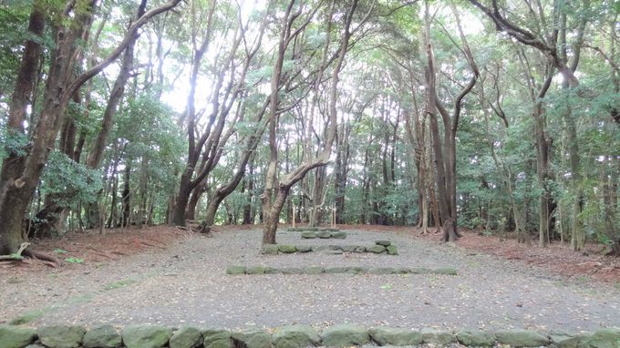 世界遺産 宗像大社 神宿る島 沖ノ島への思いを辿る関連遺産巡り 福岡県 Lineトラベルjp 旅行ガイド