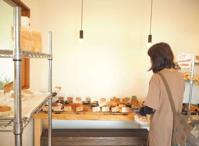 �{�g�w����X�^�[�g�`�b��̃p�����u���J�C���p���v��