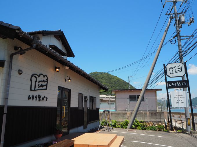 �{�g�w����X�^�[�g�`�b��̃p�����u���J�C���p���v��