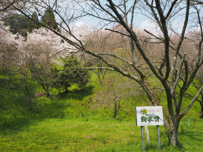 �\���C���V�m���甪�d���A�}�����̋����`��߉���4�����{�̂��y����