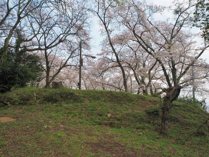 �O�����隬�̐F�N�₩�ȍ��`�Ï�̖ʉe��������������