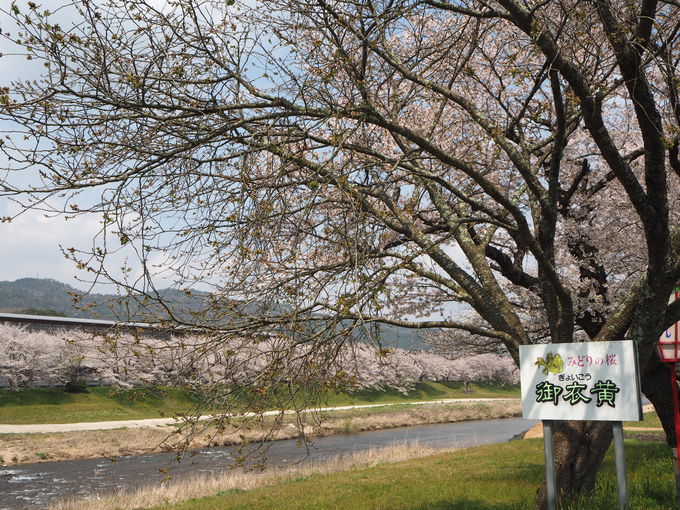 �\���C���V�m���甪�d���A�}�����̋����`��߉���4�����{�̂��y����