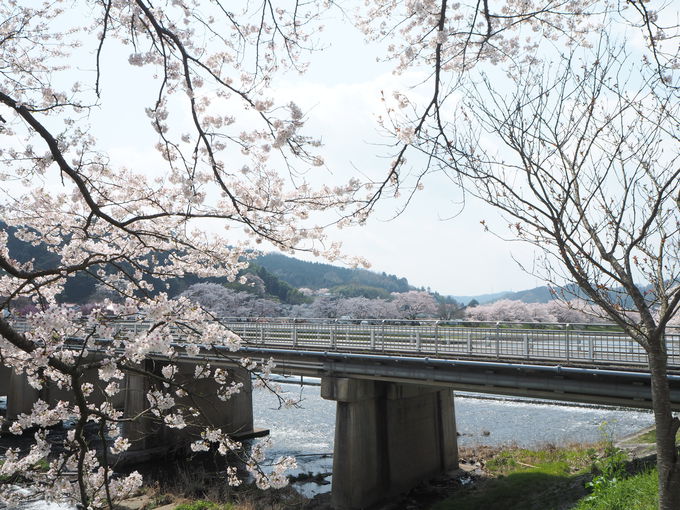 �t�̗z���łۂ��ۂ��C���`����n���Č������ݎU���