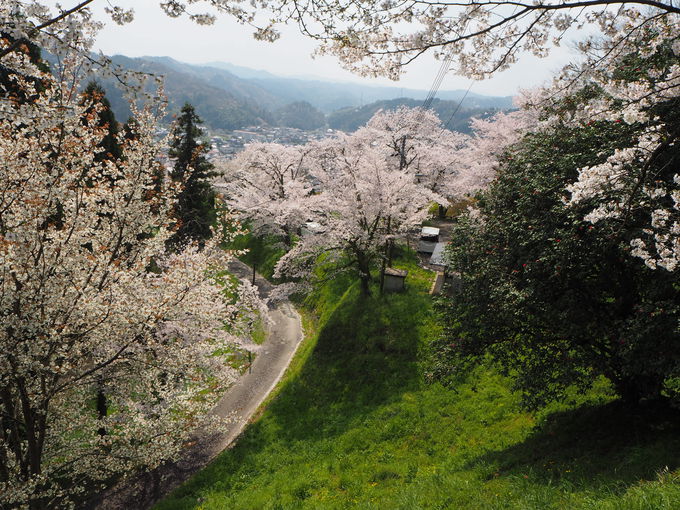 �O�����隬�ւׂ̍��o�蓹�`�Ï�̕���ƍ��̃R���{