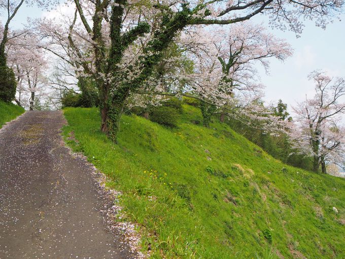 �O�����隬�̐F�N�₩�ȍ��`�Ï�̖ʉe��������������