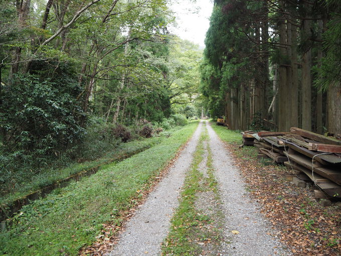 浅井家の住まいもあった清水谷のお屋敷跡も散策