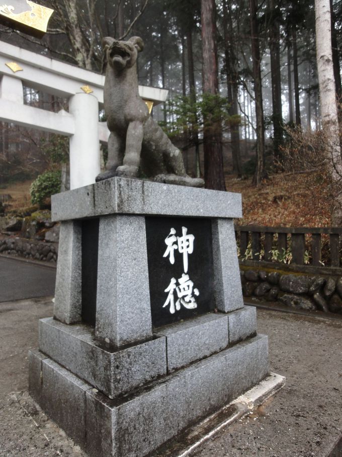 三峯神社のお使い神「お犬さま」にもご挨拶をしよう