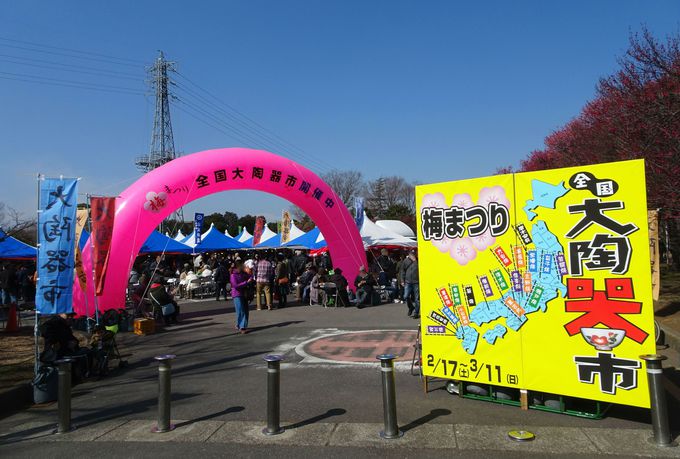 大陶器市にパワースポットも 埼玉 大宮公園 梅まつり の魅力 埼玉県 Lineトラベルjp 旅行ガイド