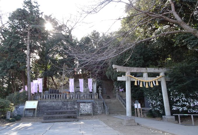 千数百年の歴史をもつ、埼玉県名発祥の古社「前玉神社」
