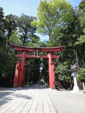 zŋ2p[X|bgIu\F_Ёvu㎛vŊJ^w̋LTlC