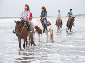 波打ち際に馬と走る！九十九里浜で乗馬体験「サンシャインステーブルズ」