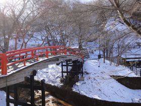 Ɛq̐_B̃fɂȂԂIɍہEʂɍsĂ݂悤̋LTlC